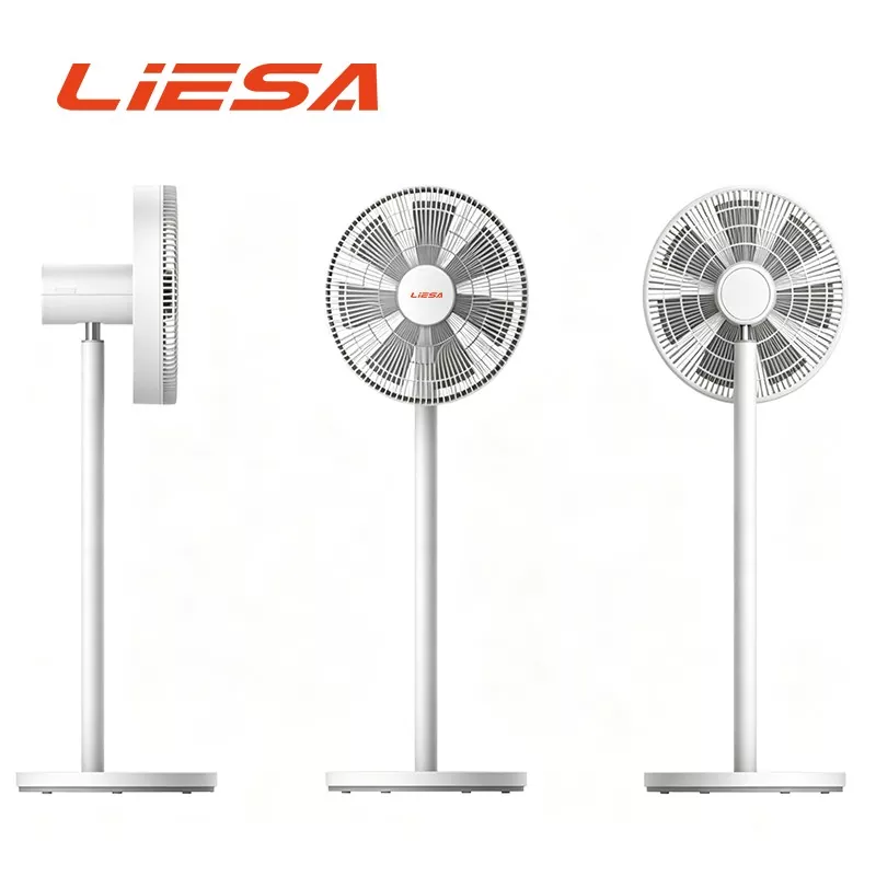 Ventilateur de circulation de moteur à courant continu