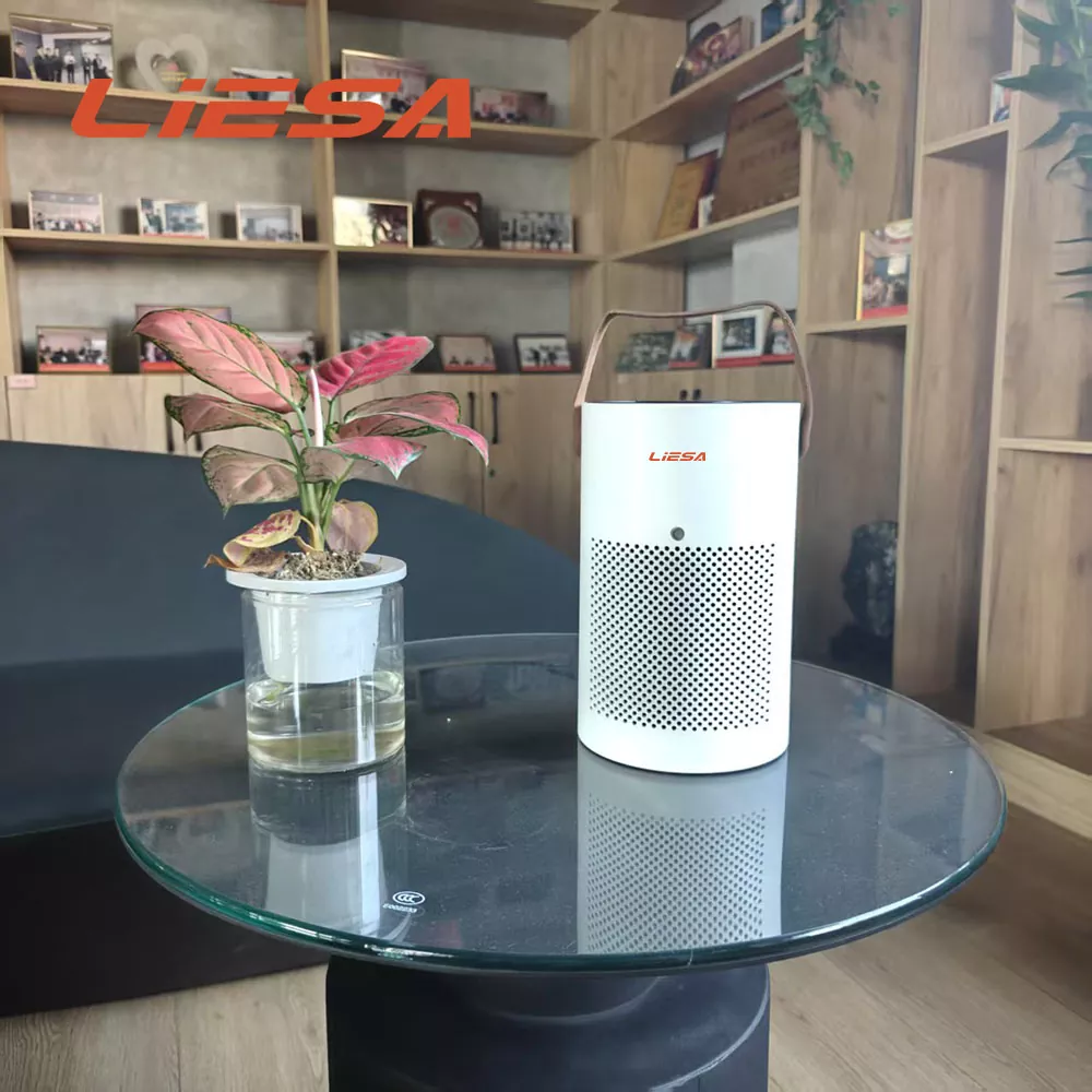 Purificateur à fonction minuterie
